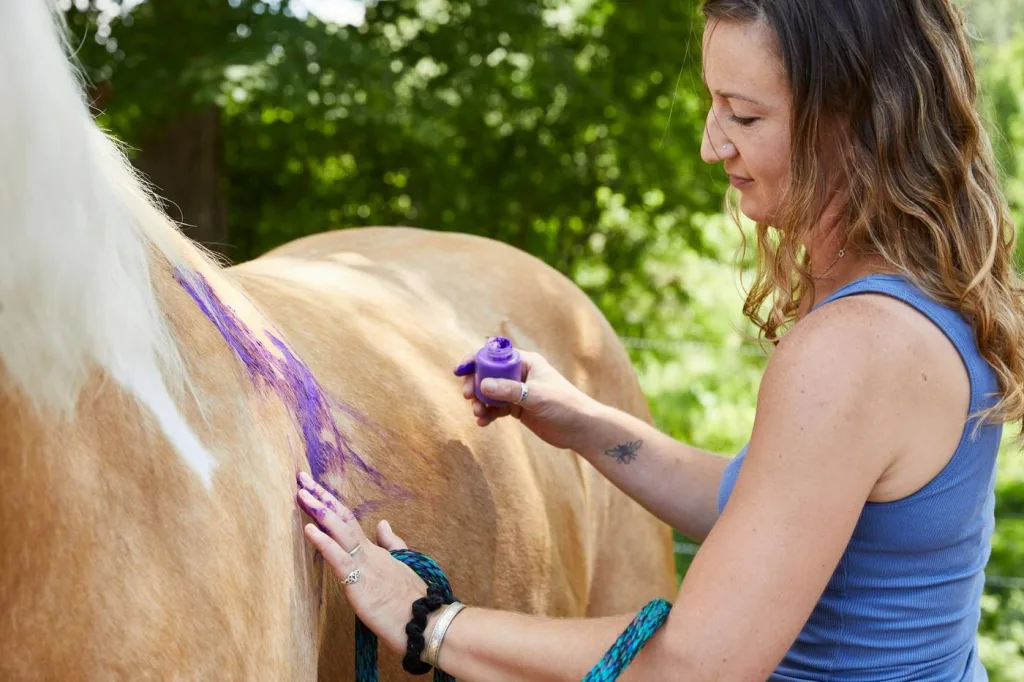 Miraval Berkshires equine therapy